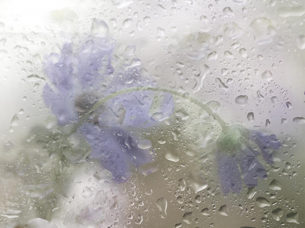 Creation of Of Teardrops & Raindrops : Step 2